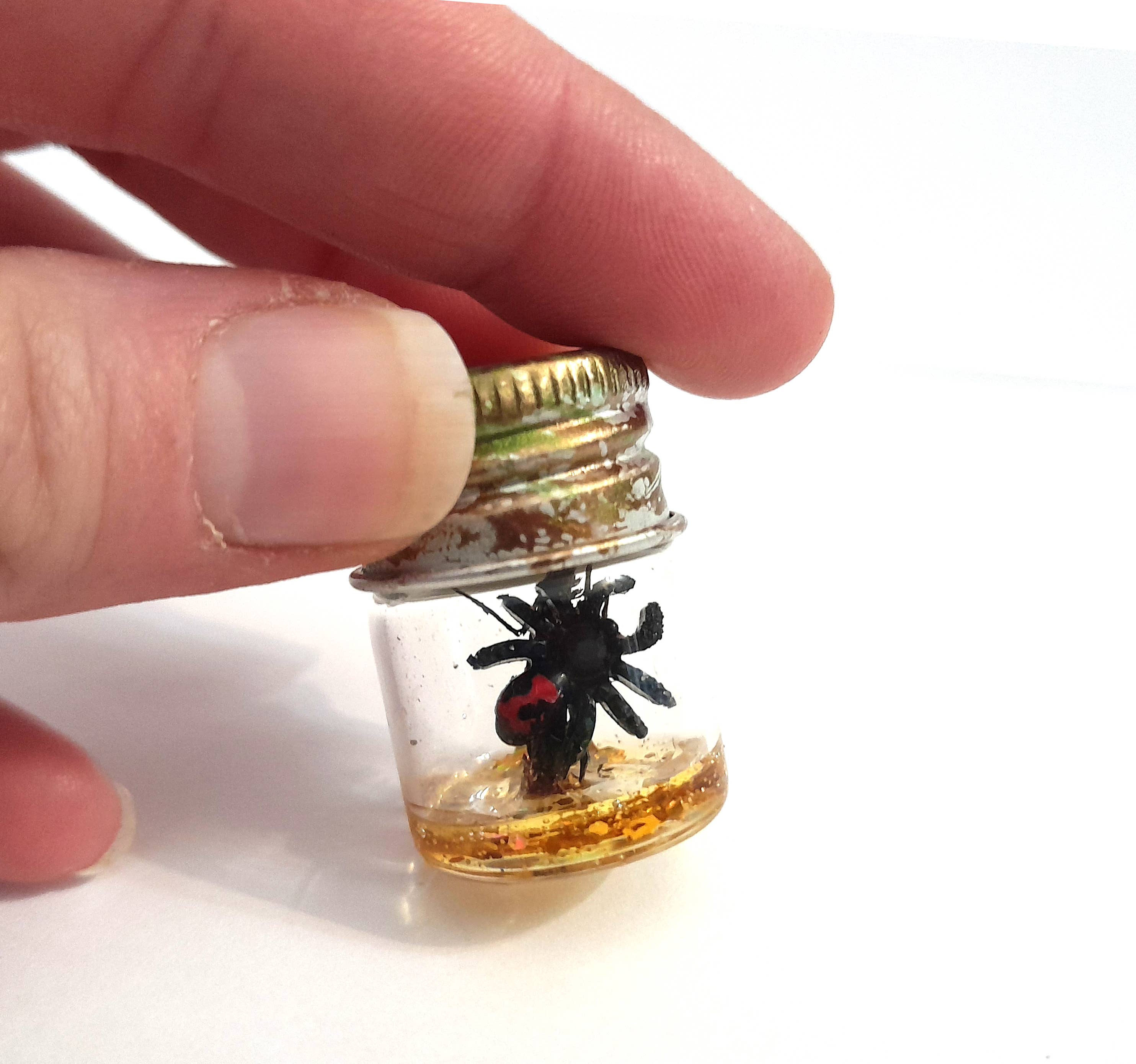 SUPERAWWWSOME - Wholesale Decorative Jar - Spider Specimen Bottle Black Widow Dollhouse Mini Halloween9