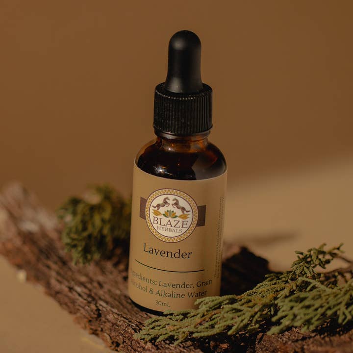 Lavender for wholesale by Blaze Herbals