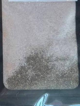 CARE BEAR for wholesale by Lou Lou teas