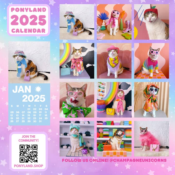 PONYLAND - Wholesale Calendar - 2025 PONYLAND WALL CALENDAR7