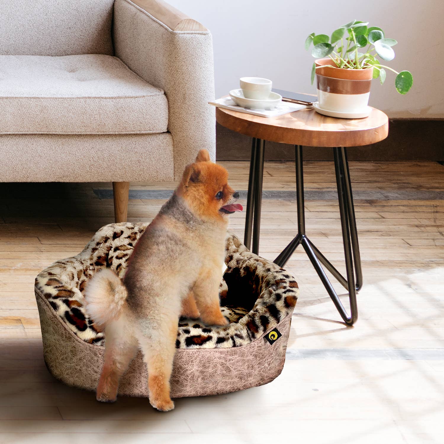 Precious Tails - Wholesale Pet Bed - Cat/Dog - Precious Tails Leopard Princess Bed10