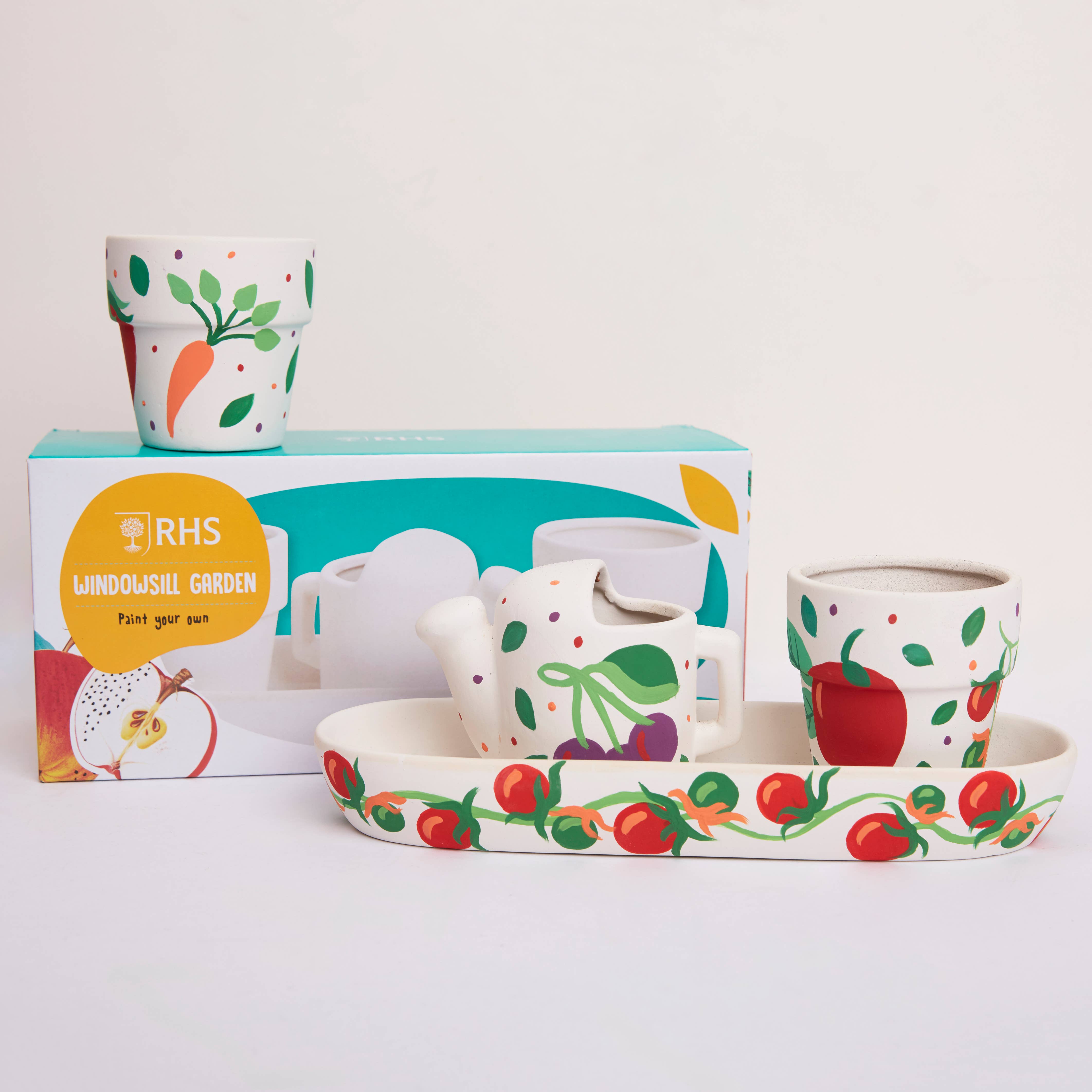 West Design Products – Pintura/desenho por atacado – RHS Paint Your Own Set, Branco, Kit de Artesanato, Janela para Jardim4