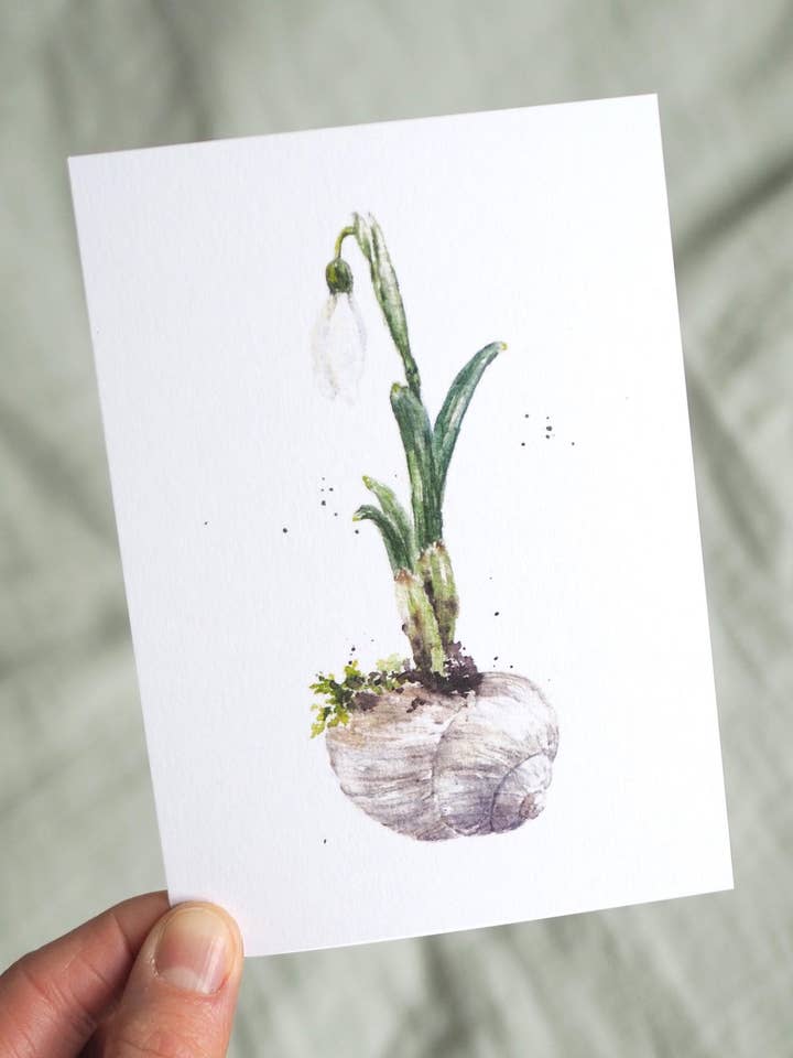 Carte postale Perce-neige dans une coquille d'escargot pour la vente par Jona Art