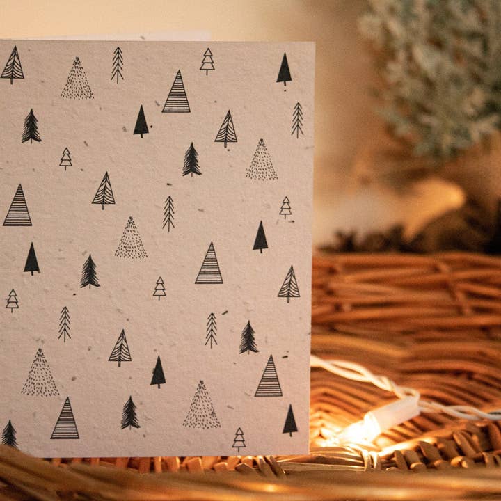 Sapins for wholesale by AIKA & Co.