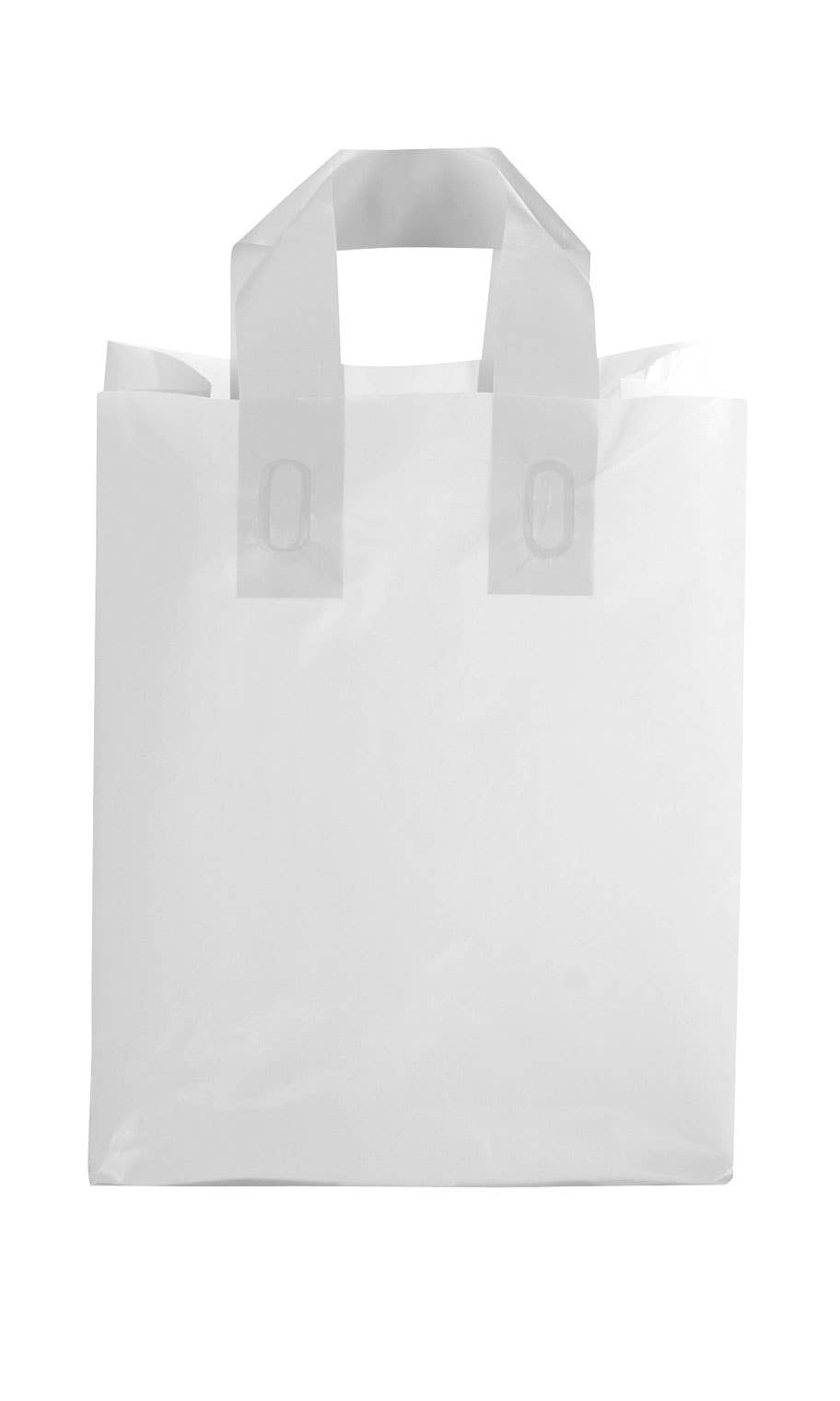 Store Supply Warehouse - Wholesale Gift Bag - Frosted Retail Shopping Bags18