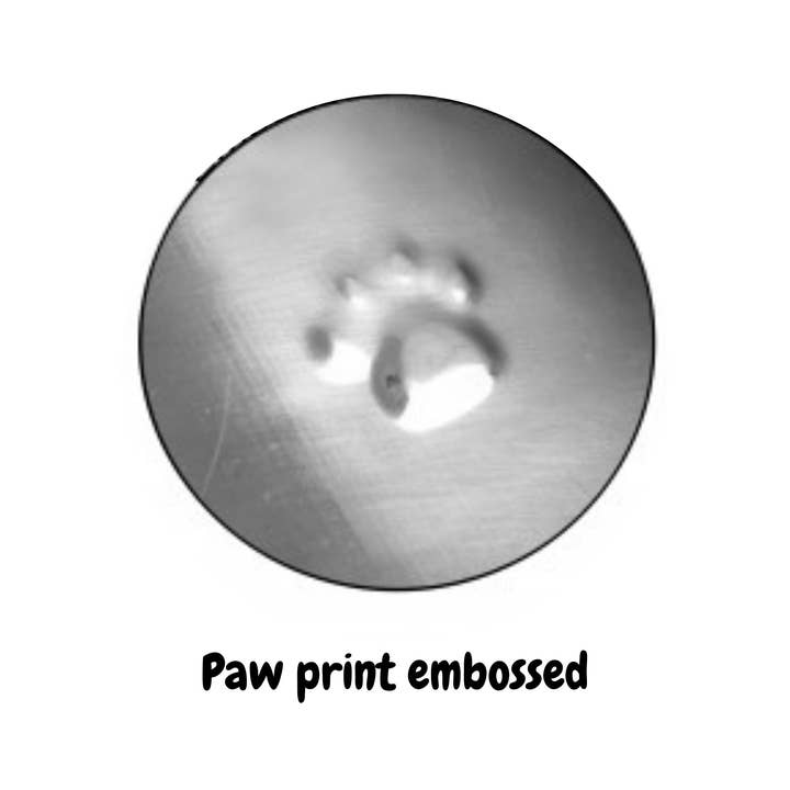 WufWuf - Wholesale Pet Bowl - Cat/Dog - WufWuf & SC Anti-Skid Stainless Steel Cat Bowl, 200Ml1