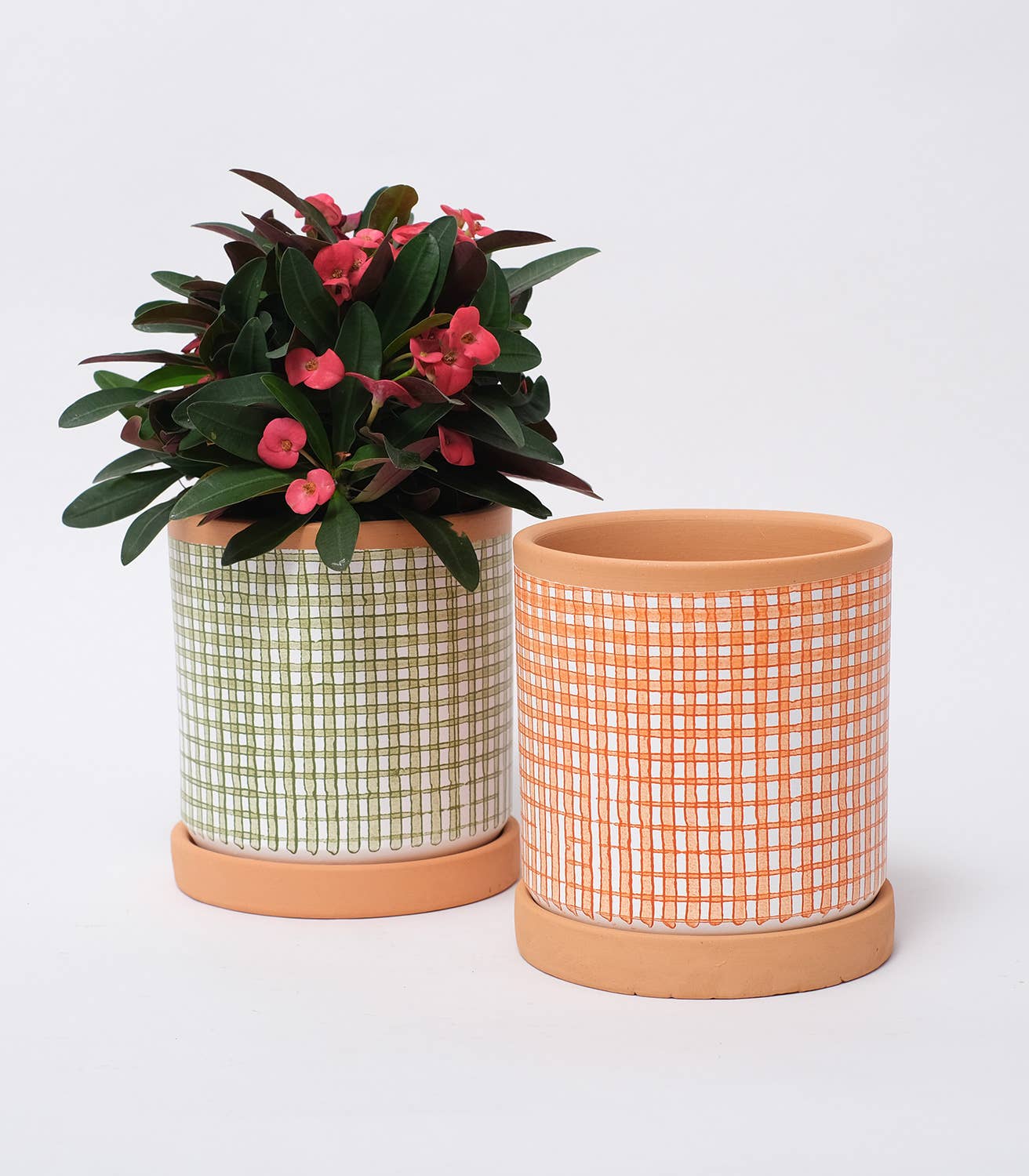 Casa Atlântica - Wholesale Plant Pot - Moss green checkered pot with saucer8