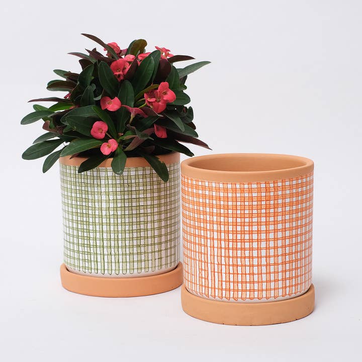 Casa Atlântica - Wholesale Plant Pot - Moss green checkered pot with saucer8