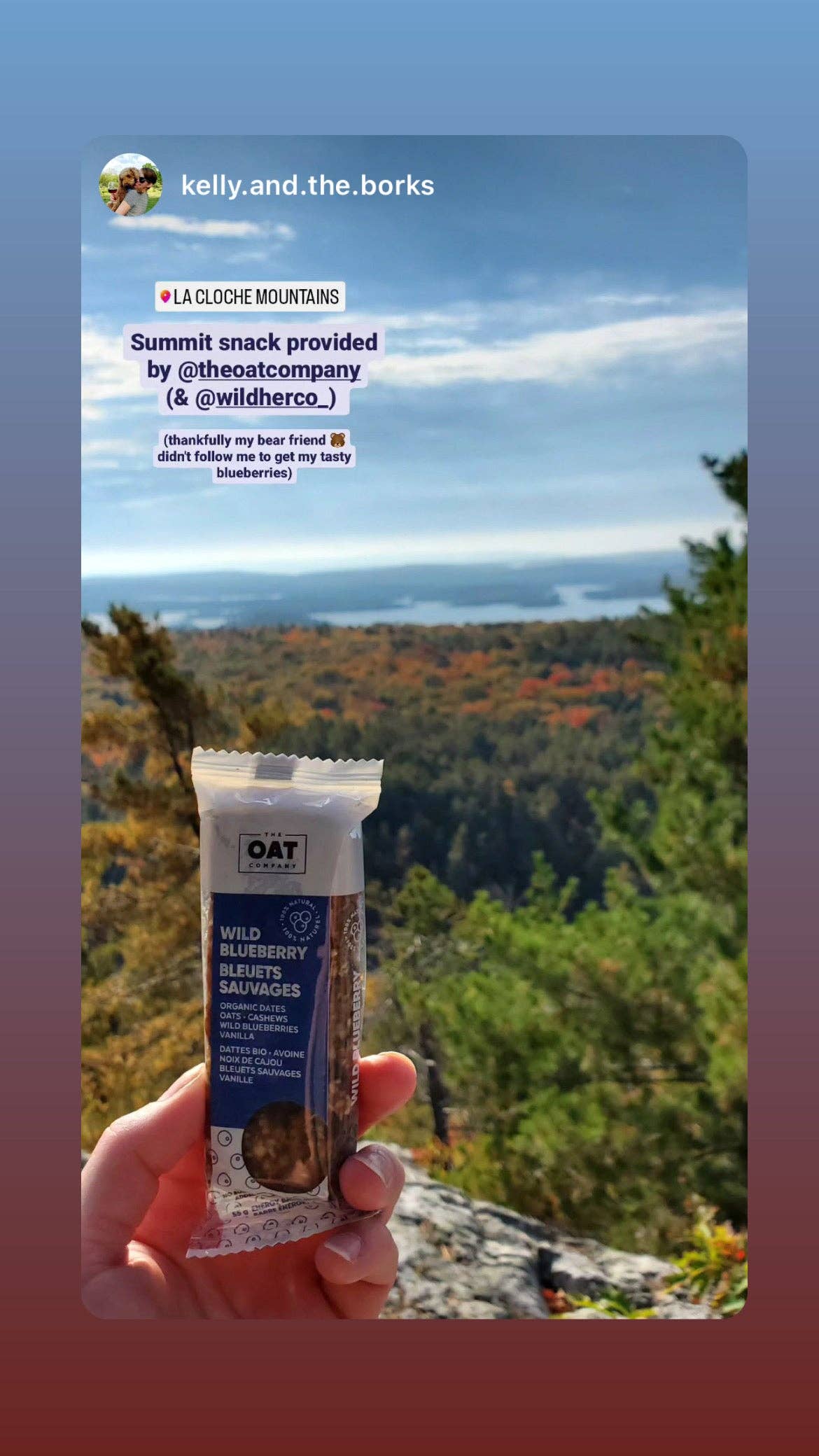 The Oat Company - Wholesale Snack Bar - Wild Blueberry6