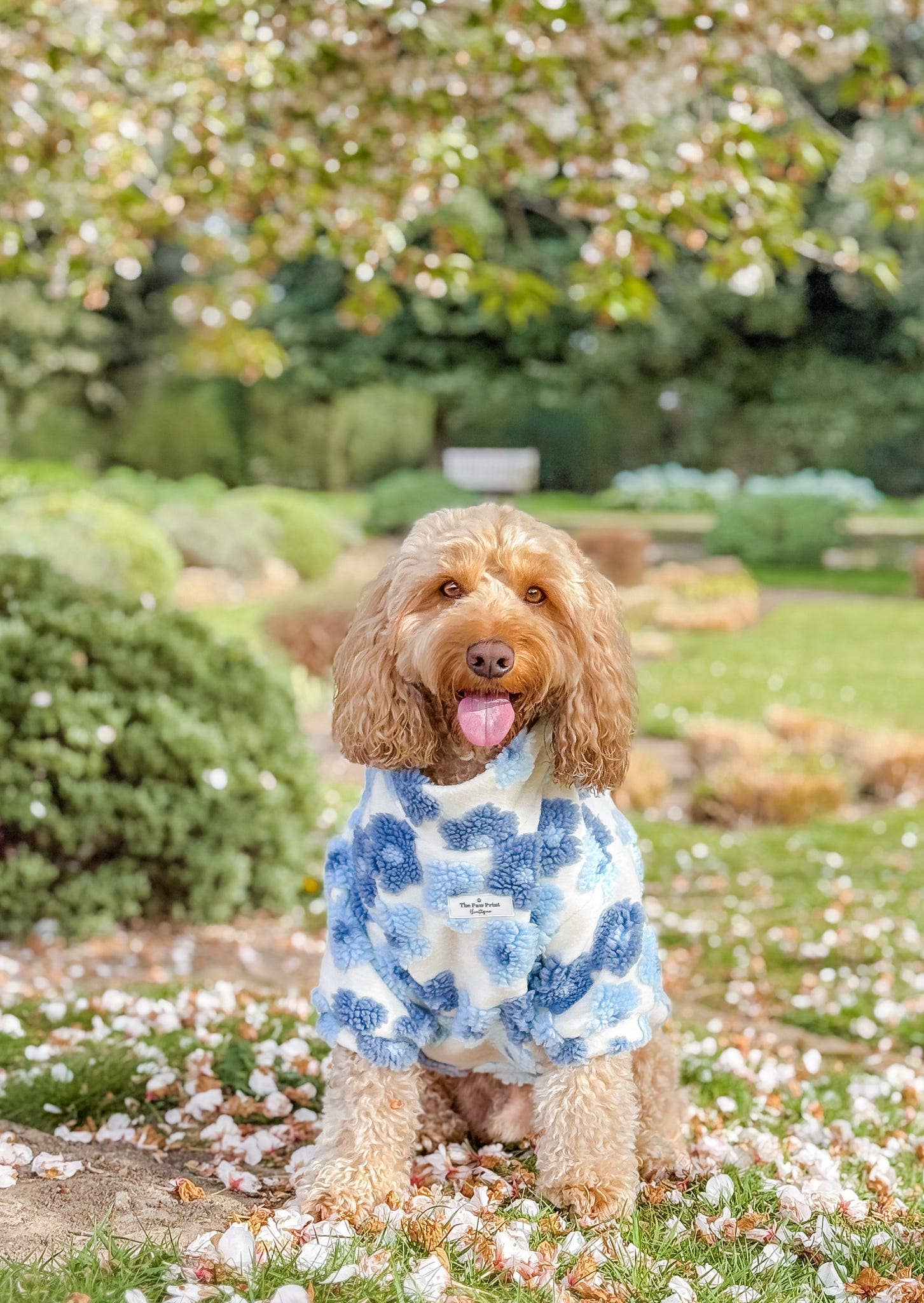 The Paw Print Boutique - Wholesale Pet jumper – Dog - The Bluebell Blue Floral Fleece5