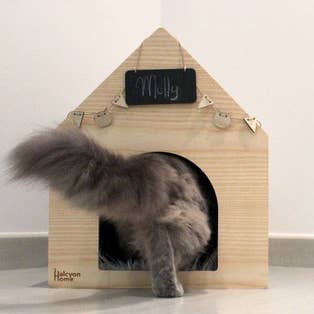 Apawtment for wholesale by Halcyon Home