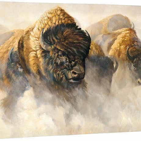 Les fantômes des plaines—Bison - Toile montée sur châssis pour la vente par Art Brand Studios