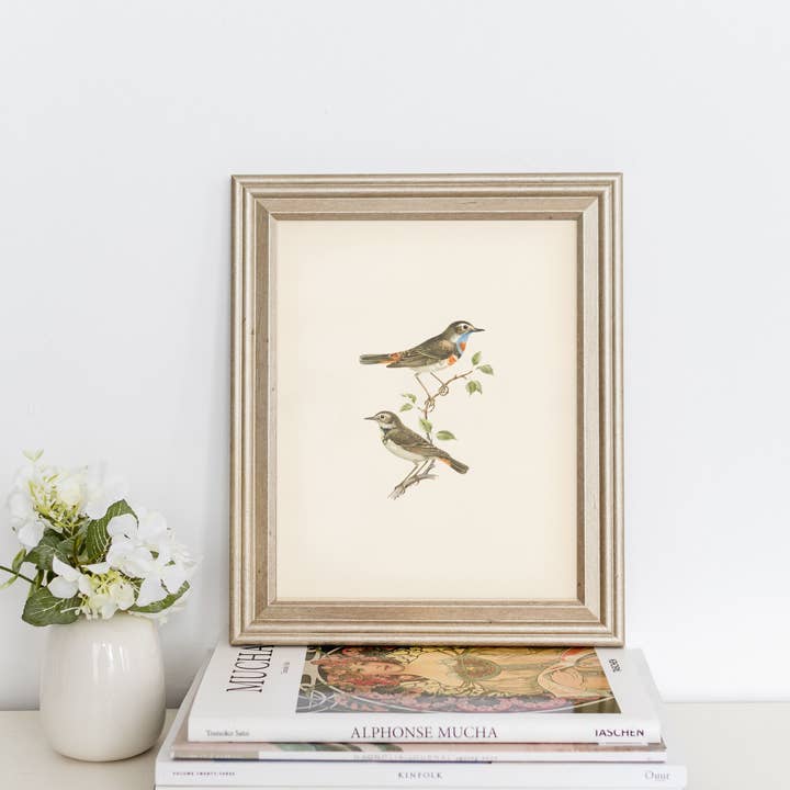 Pink Lemon Decor - Wholesale Art Print - Vintage Art Print- Birds2