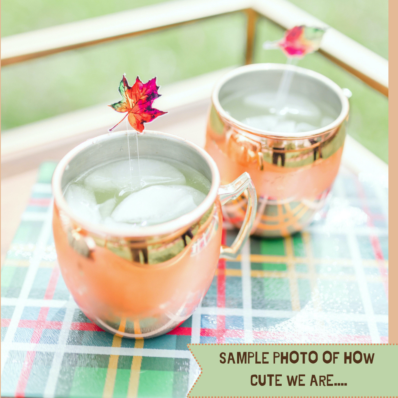 XO ACRYLICS | ACRYLIC STICKS - Wholesale Drink Stirrer - TURKEY ACRYLIC STIR STICKS3