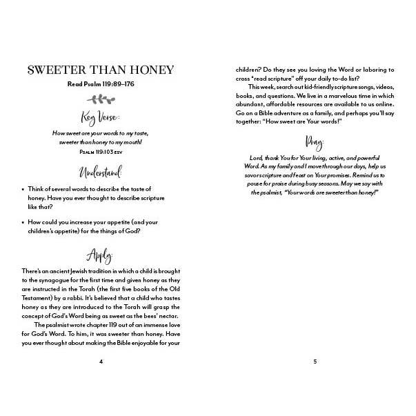 Barbour Publishing, Inc. - Wholesale Book - Adult - The 5-Minute Bible Study for Moms
