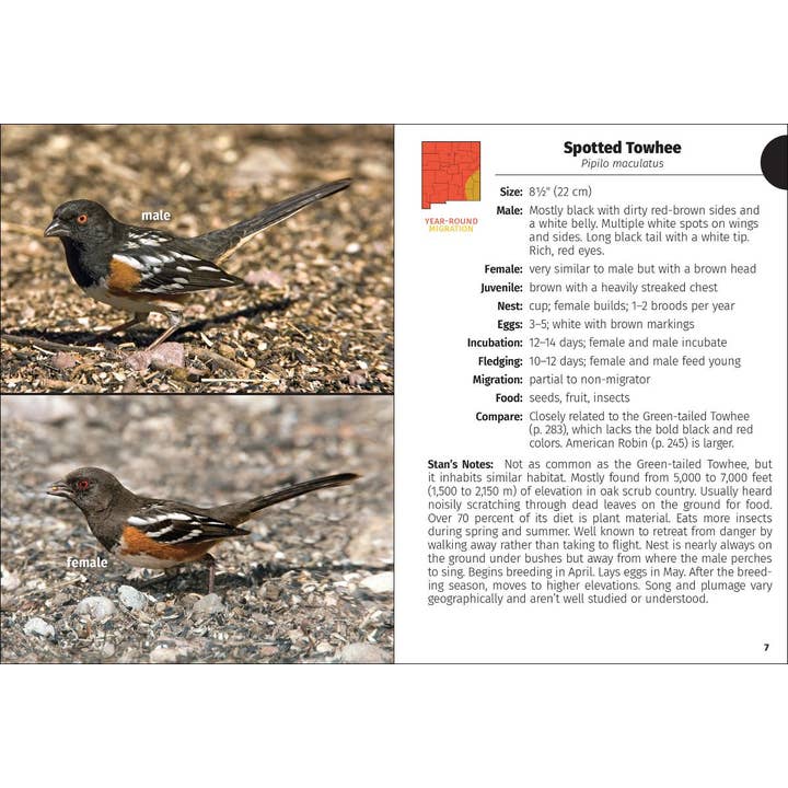 AdventureKEEN - Wholesale Nature Guide - Birds of New Mexico Field Guide 2e