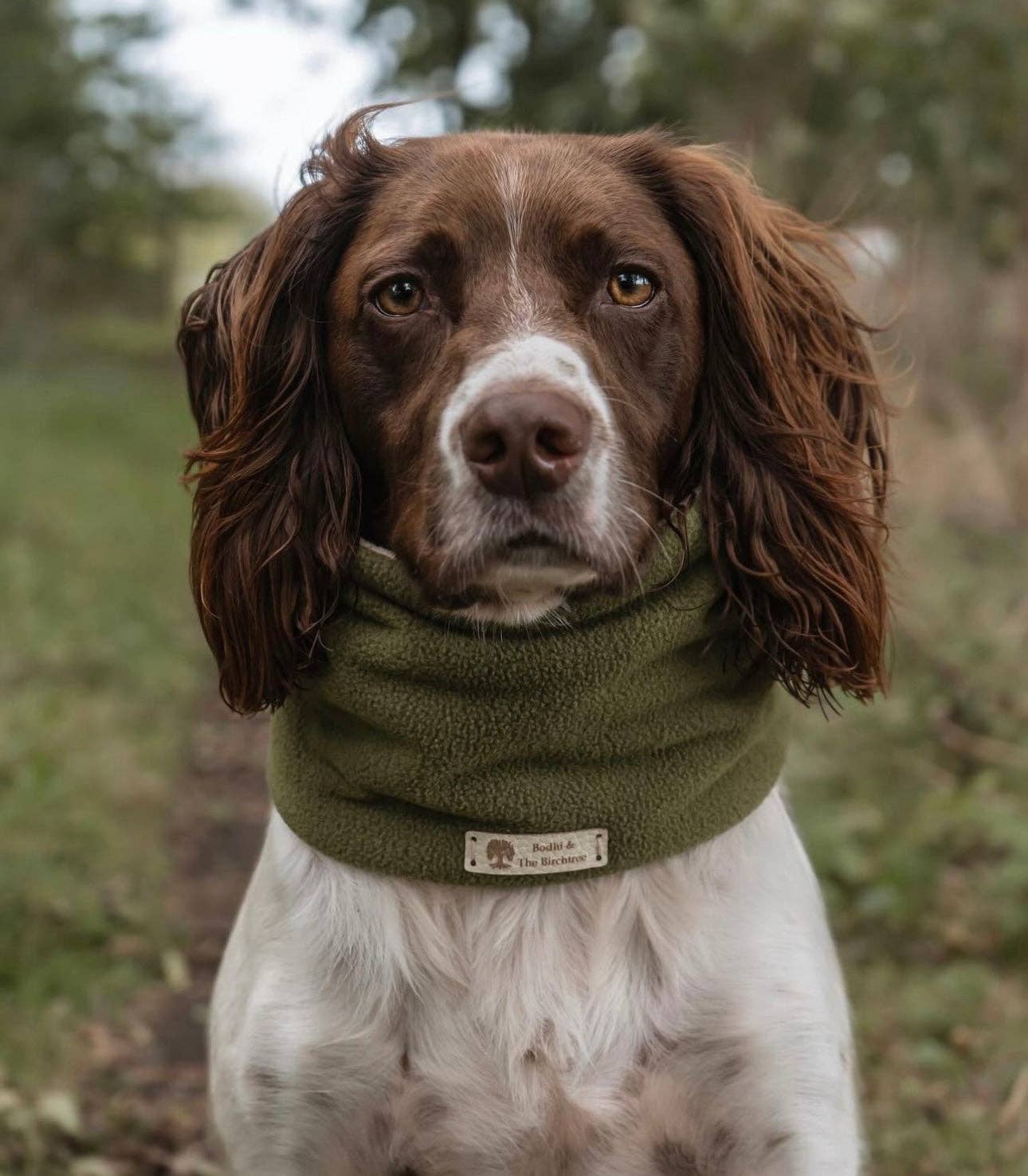 Bodhi & The Birchtree - Wholesale Pet Snood - Dog - Bodhi & The Birchtree Khaki Green Fleece Snood0
