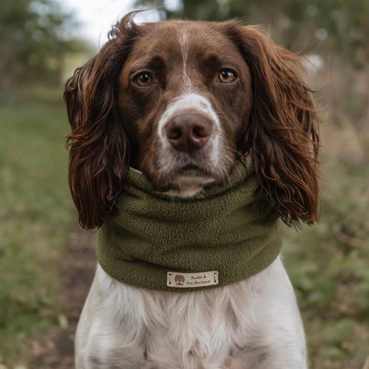 Bodhi & The Birchtree - Wholesale Pet Snood - Dog - Bodhi & The Birchtree Khaki Green Fleece Snood0