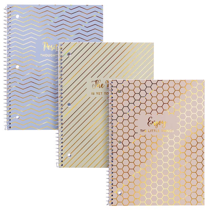 Pukka Pads North America - Wholesale Notebook - Haze 1-Subject College Ruled Notebook in 3 hot foil designs