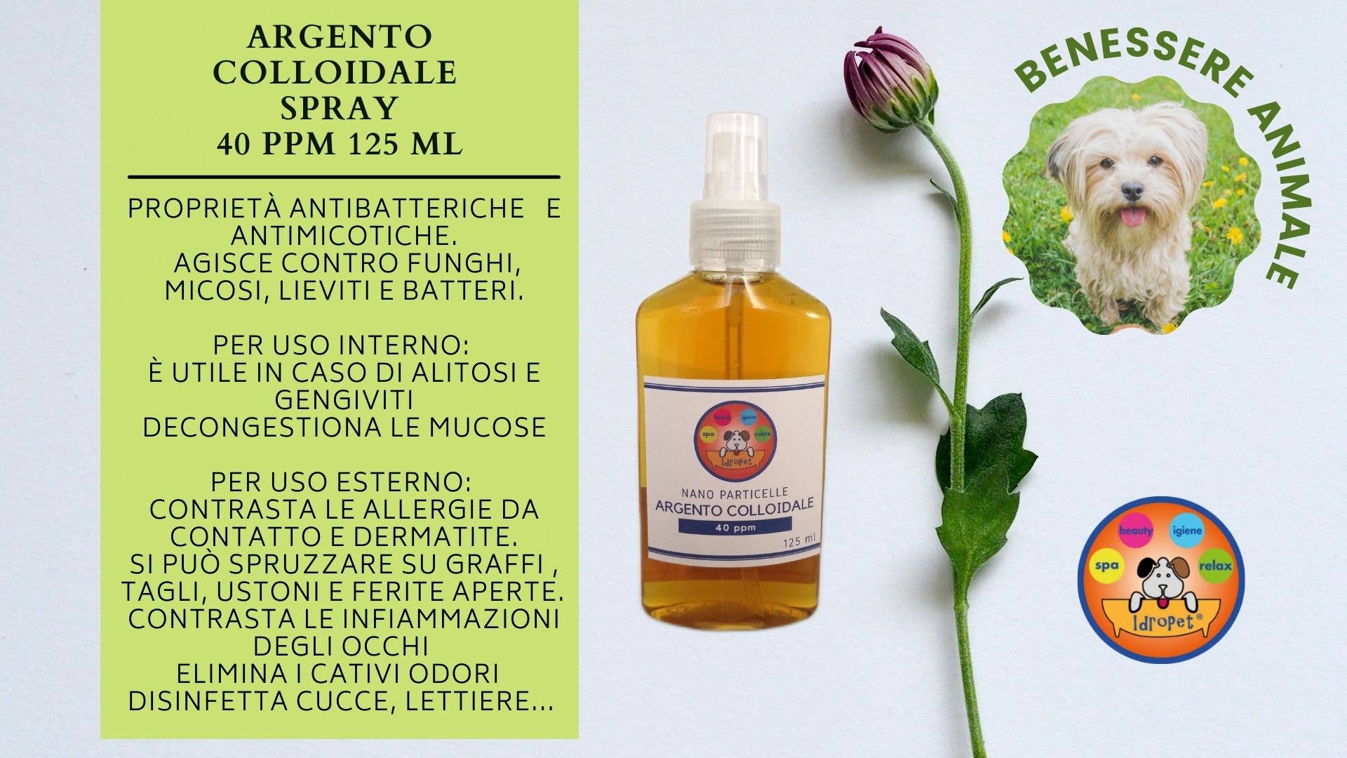 Idropet - Wholesale Pet Grooming Set - Dog - Pet Welfare Gift Box5