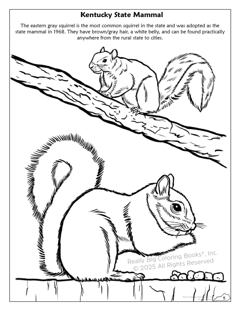 Really Big Coloring Books | ColoringBook.com - Wholesale Coloring & Activity Book - Kids & Baby - Kentucky State Coloring Book 8.5 x 111