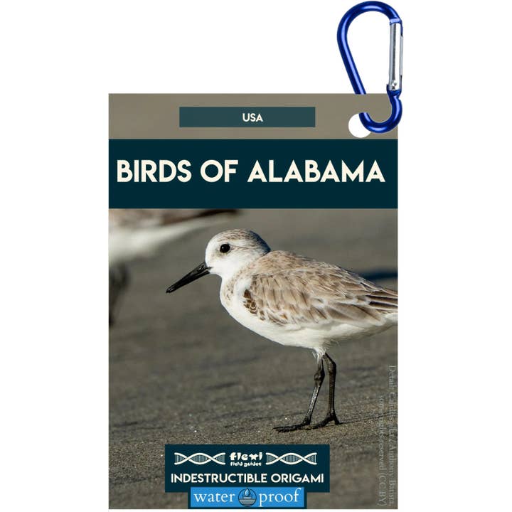 Aves de Alabama -- Origami Indestructible para venta al por mayor de Flexi Field Guides