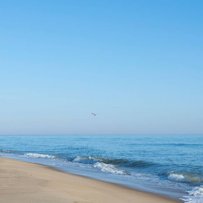 Freedom Squared for wholesale by Neon Dunes by Lily K Keller