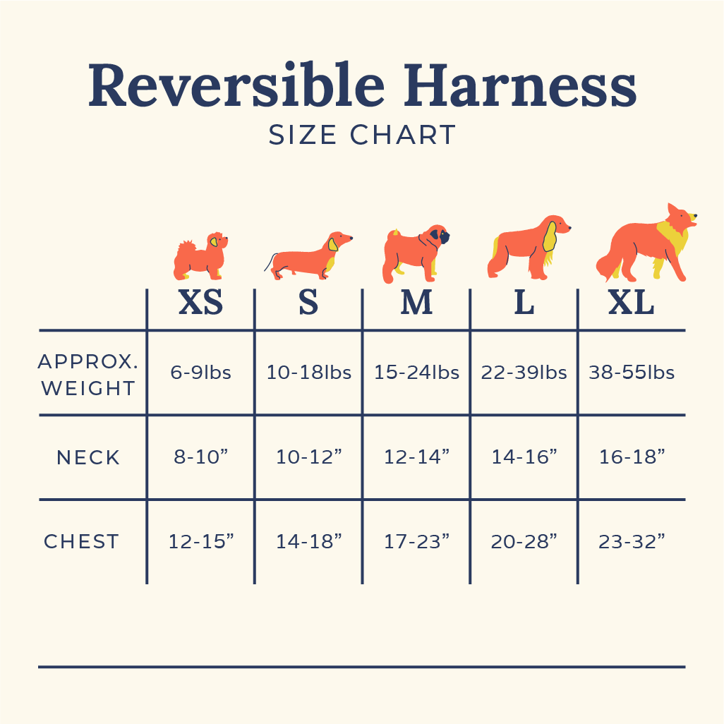 Lucy & Co. – Engroshandel Kæledyrssele – Hund – I skyerne Vendbar Harness9