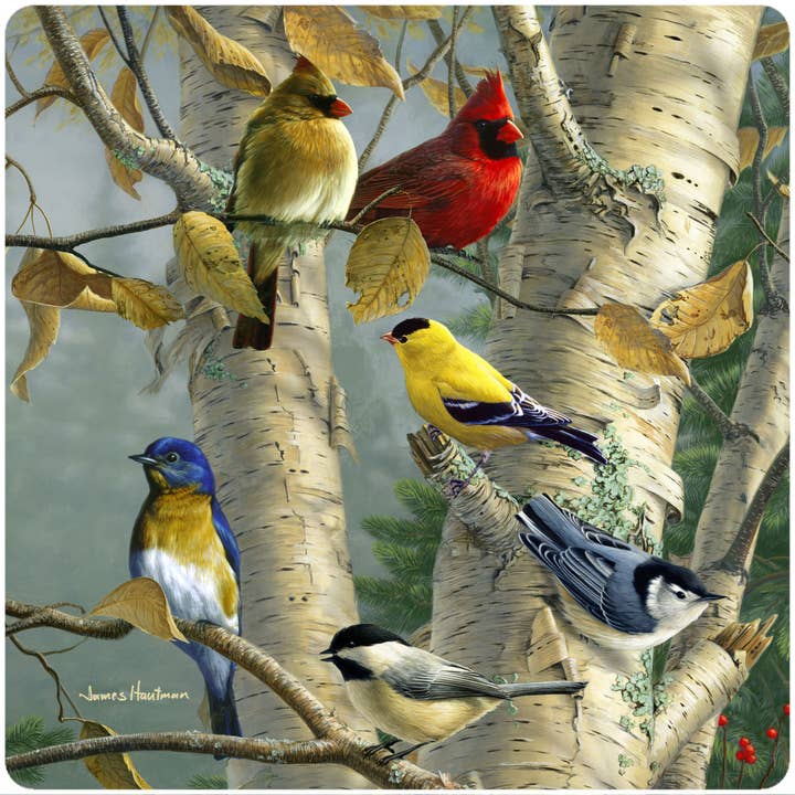 Andreas - Wholesale Jar Opener - HB Songbird Favorites2