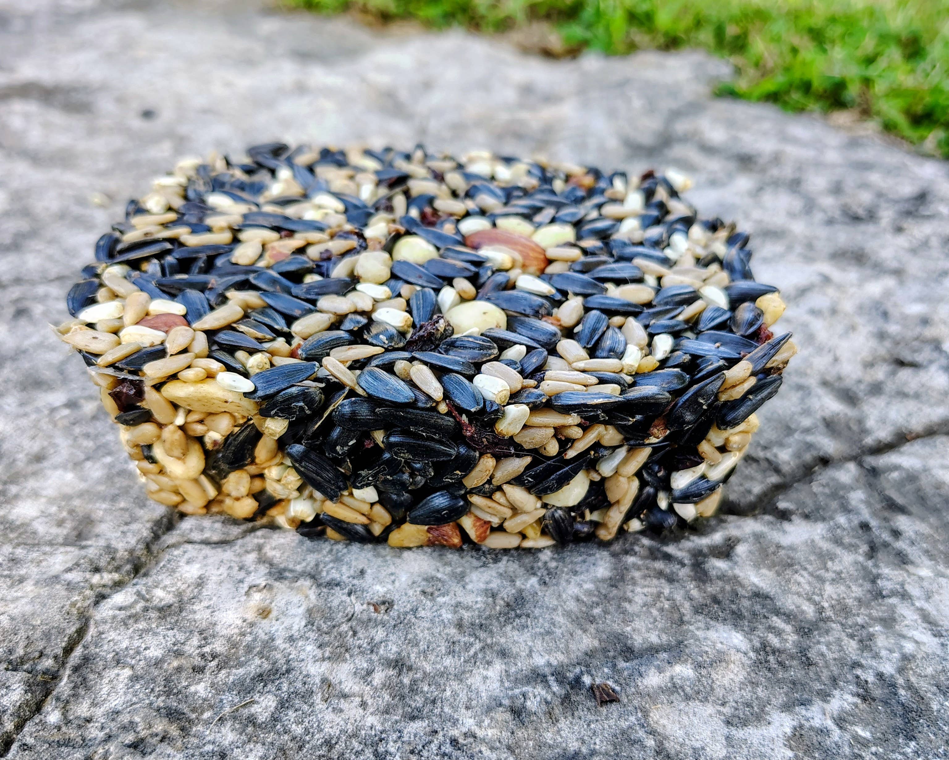 Backyard Tailz - Wholesale Bird Feeder - Birdseed Cake (Nut Berry Fruit)4