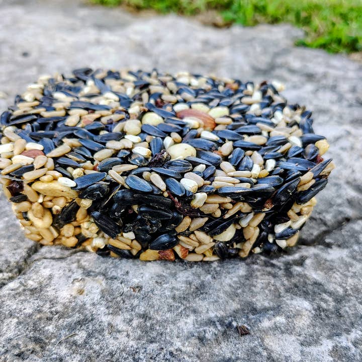 Backyard Tailz - Wholesale Bird Feeder - Birdseed Cake (Nut Berry Fruit)4