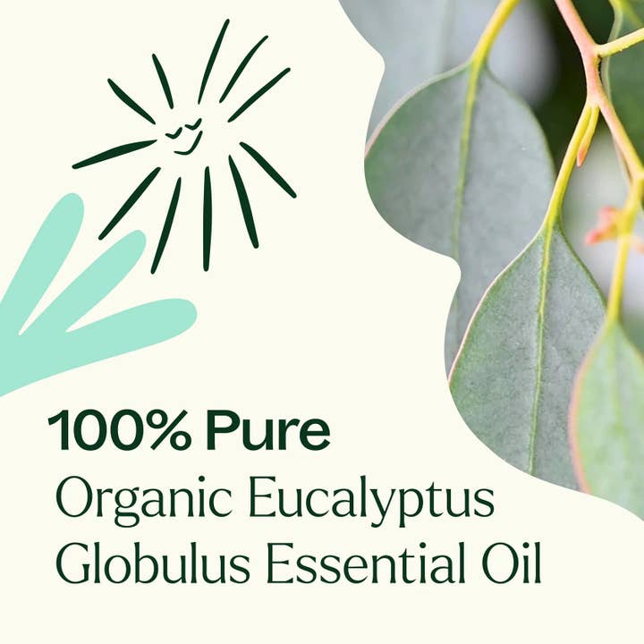 Plant Therapy – Engroshandel Æterisk olie – Økologisk Eucalyptus Globulus Æterisk Olie 10 ml4