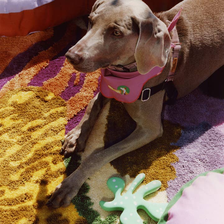 ProbaHome - Wholesale Door Mat - The "Goofy" All Purpose Mat1