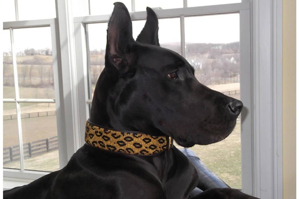 The Kenyan Collection Inc. dba TKC Inc – Großhandel Haustierhalsband – Hund – Leopard Perlen-Hundehalsband2