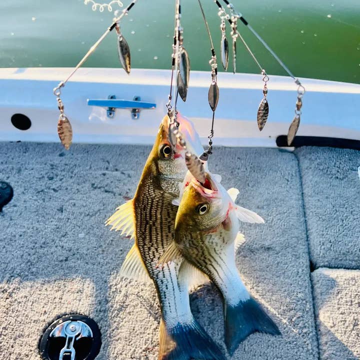 Bassdope Lures - Wholesale Sporting Accessories - Smack Swimbait Jig Head11