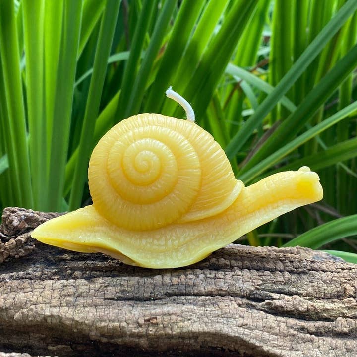 Snail Beeswax Candle for wholesale by Bees Light Candles