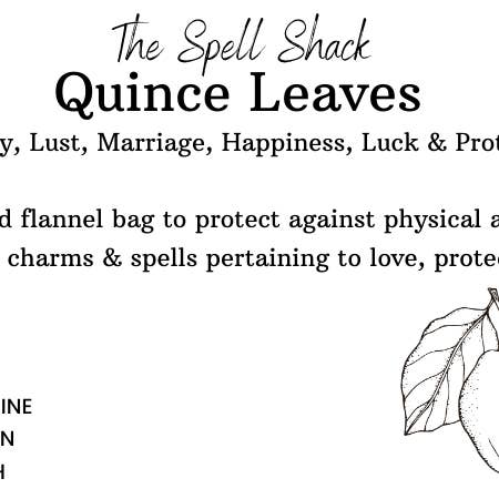 Witchuals - Rituals & Spellwork Apothecary - Vendita all'ingrosso Attrezzatura per meditazione - Foglie di mela cotogna1