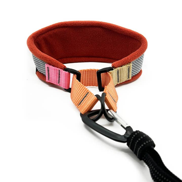 Gold Paw Series - Wholesale Pet Collar - Dog - Featherweight Hound Collar