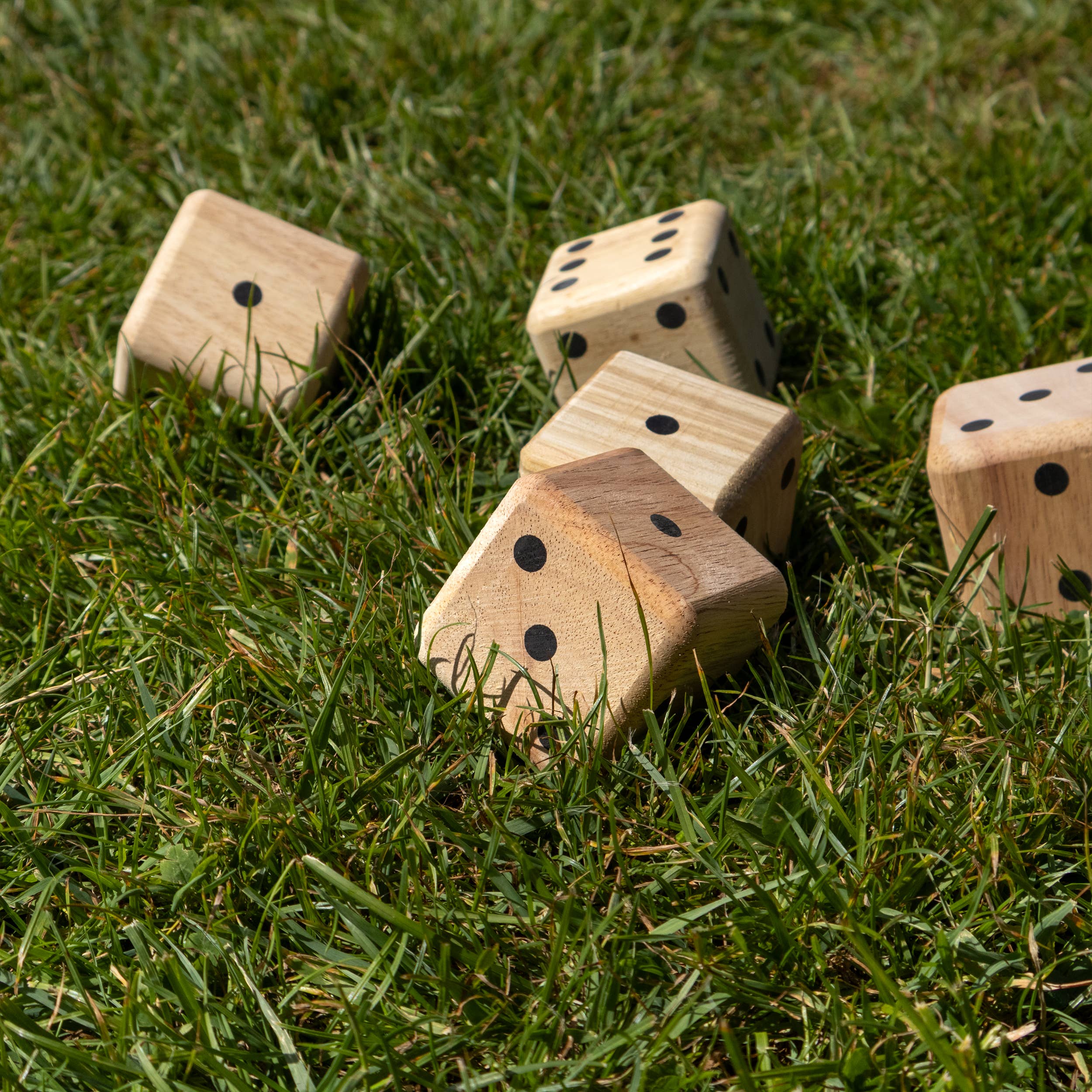 Robert Frederick Ltd - Wholesale Dice - Giant Dice Game - Flamingo Games5