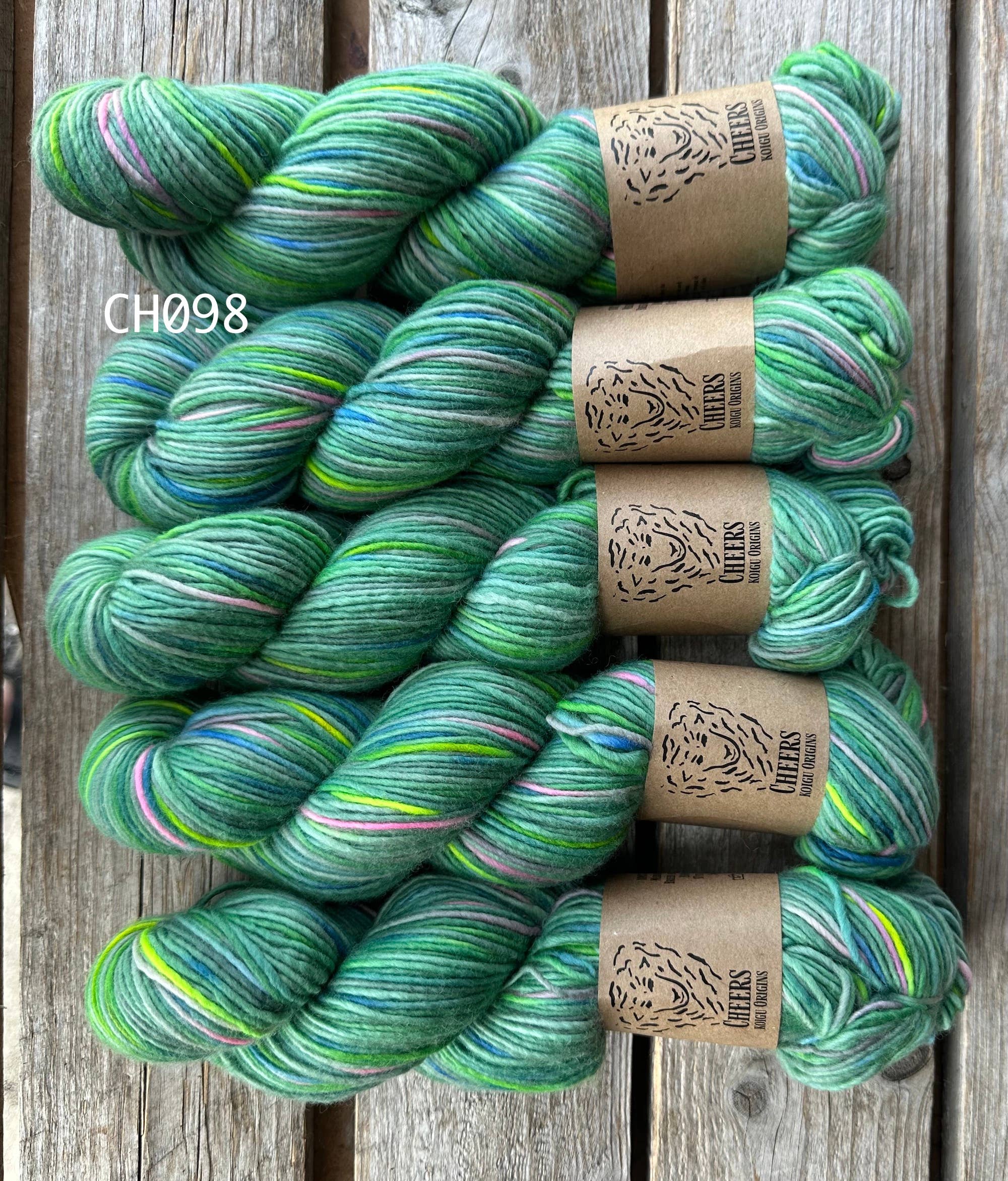 Koigu Wool Designs - Wholesale Yarn - Cheers DK/Worsted43