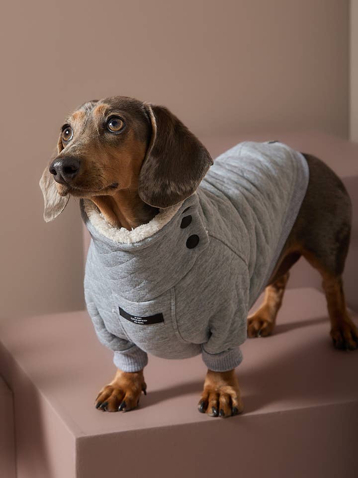 Dackel Grauer Gesteppt Pullover OSLO für den Großhandel von The Striped Dog