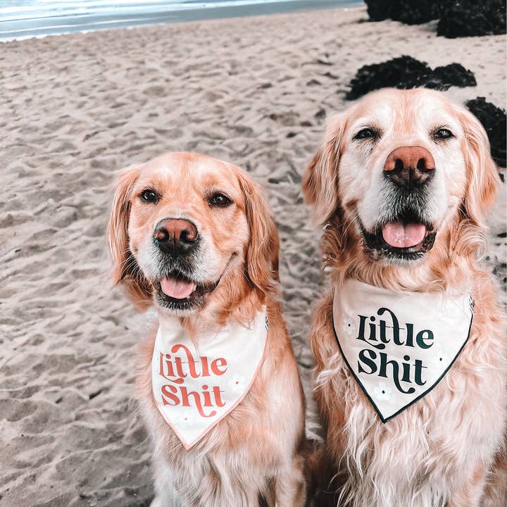 Boneyard Co. – wholesale Pet bandana – Dog – "Little Sh*t" Funny Sassy Dog Bandana, unique dog mom gifts