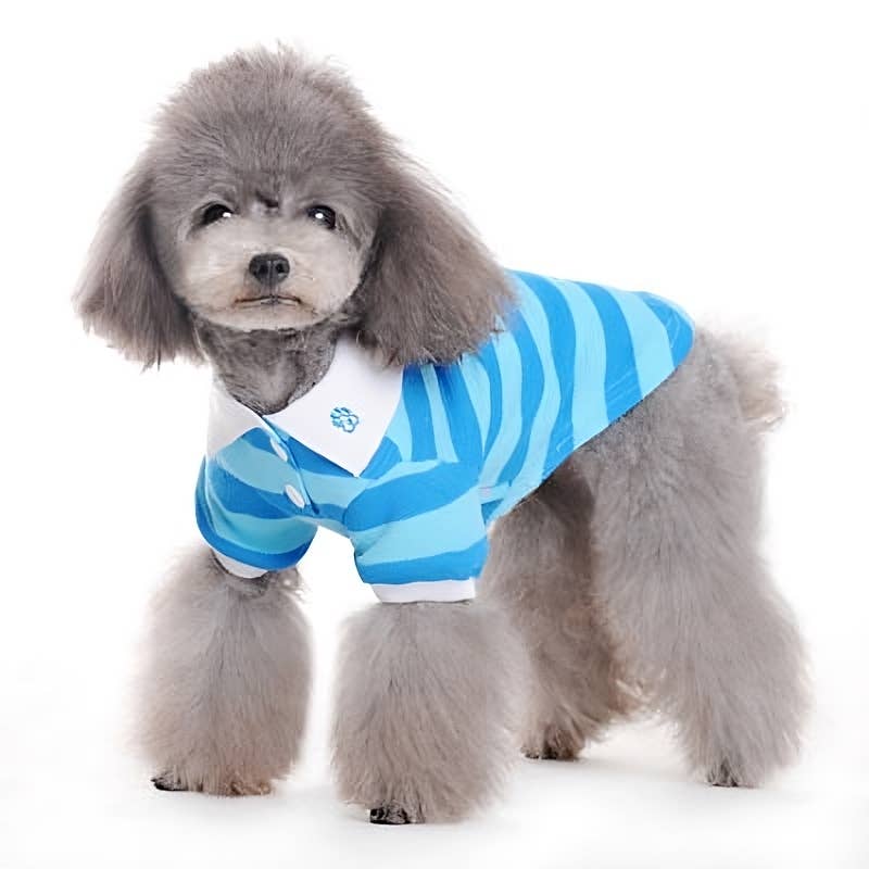 Dogo Pet - Wholesale Pet Shirt - Dog - PP Stripe Polo Shirt10