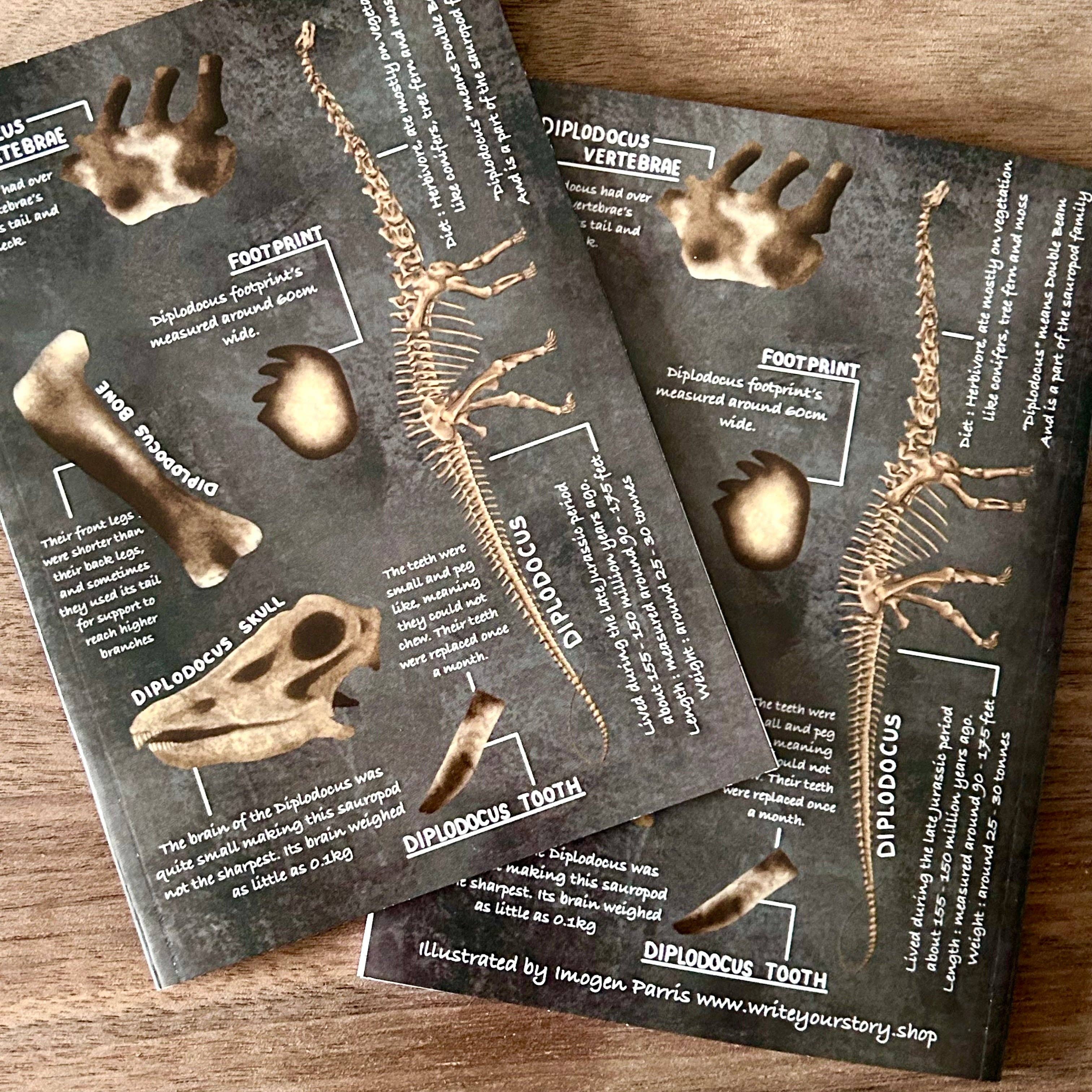 Write Your Story – wholesale Notebook – A6 Diplodocus Notebook3