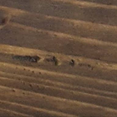 Elegant Wood Lantern for wholesale by Dixie Grace Mercantile