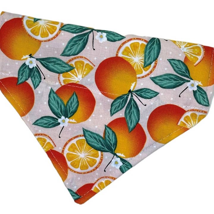 Oranges on Light Pink Slide on Collar Dog Cat Pet Bandana for wholesale by Fabulous Paws