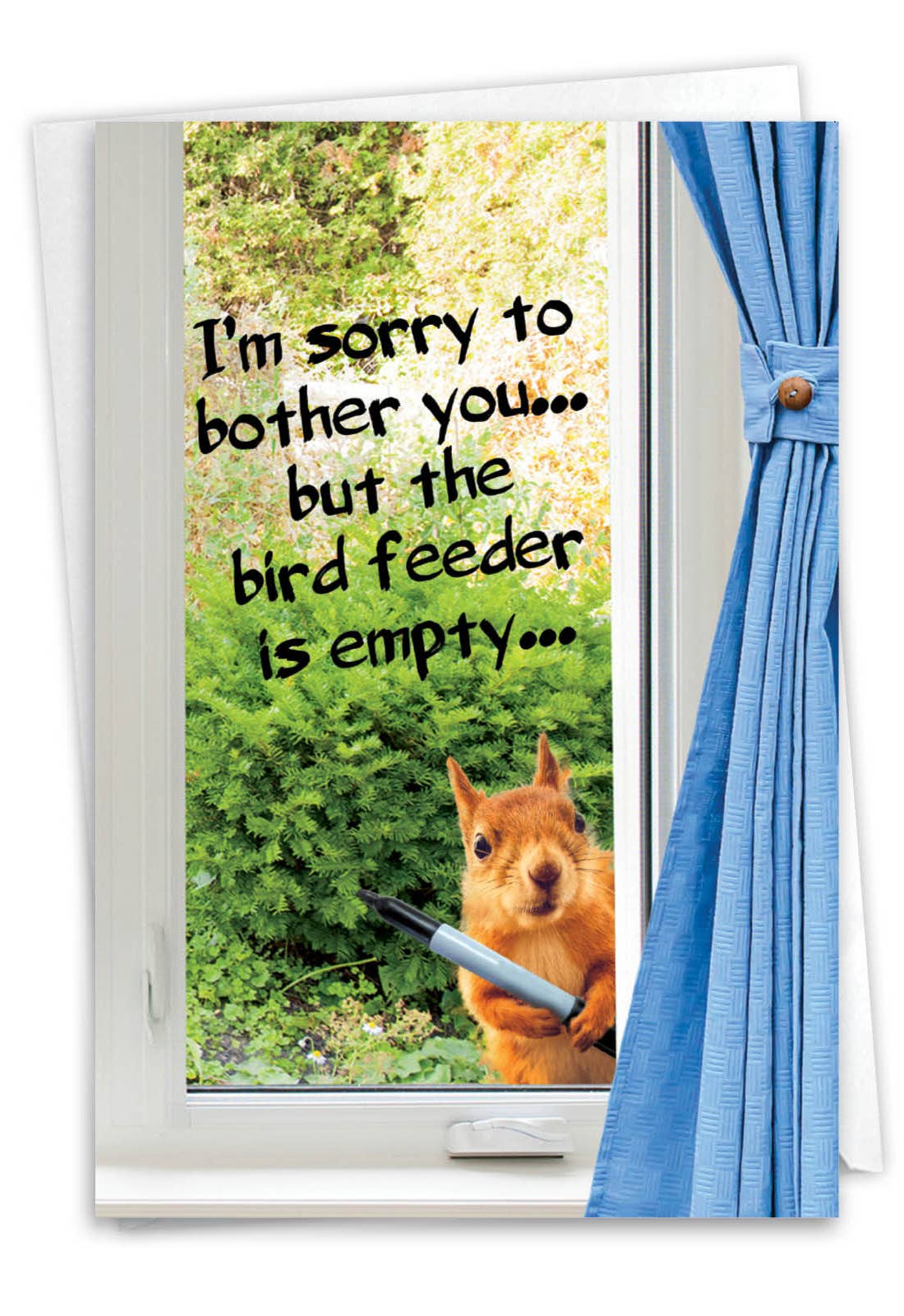 NobleWorks - Vente Cartes d'anniversaire - Carte d'anniversaire - Mangeoire à oiseaux vide4