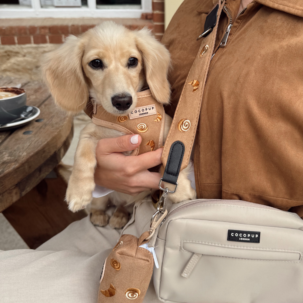 Cocopup London - Wholesale Pet Harness - Dog - Pawtisserie Adjustable Neck HARNESS6