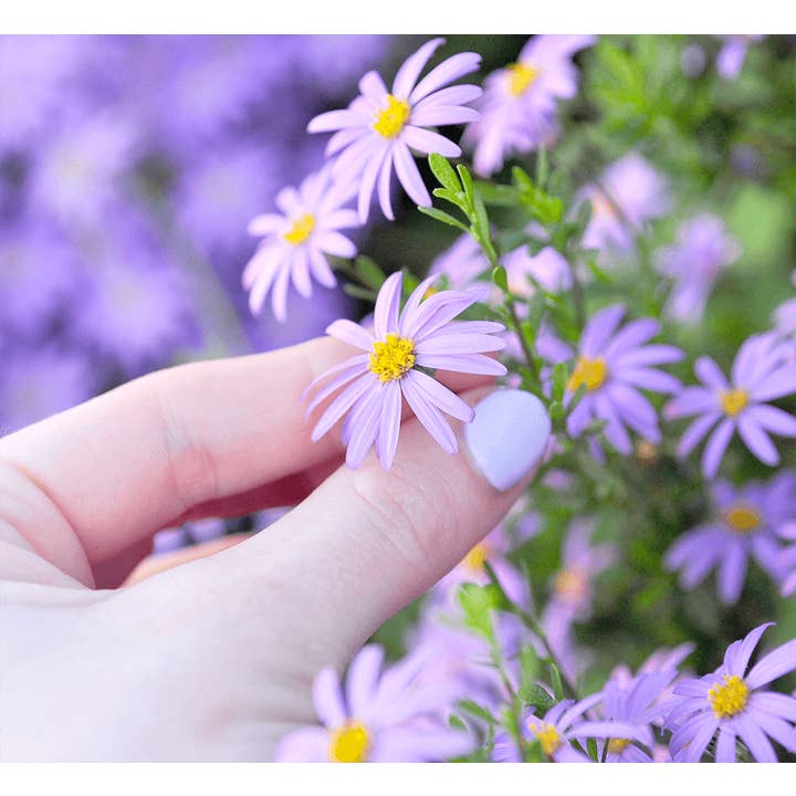 Nurturing Nature Cards - Wholesale Christmas card - Christmas Tree Plantable Greeting Card2