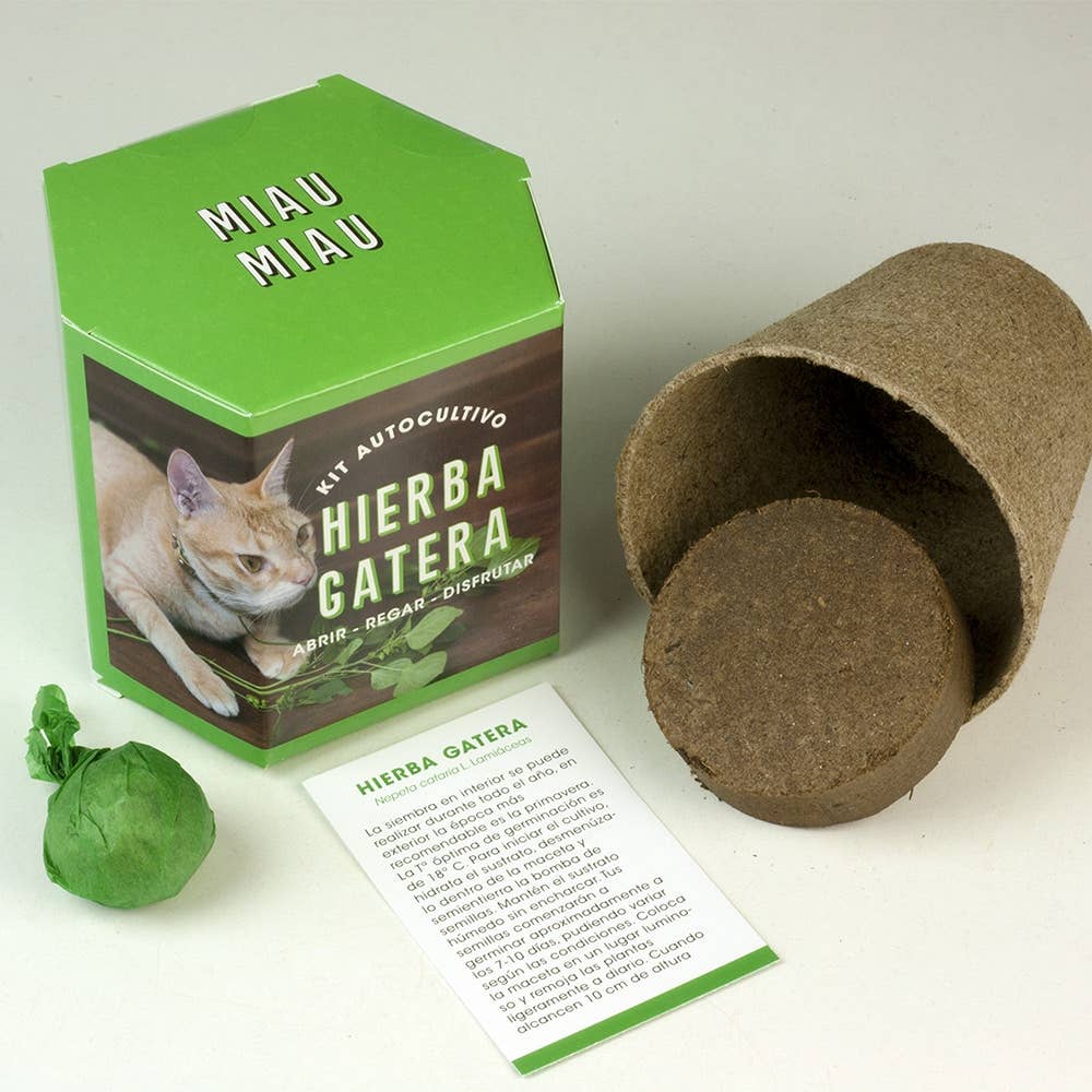 Resetea – wholesale Plant seeds – Catnip Self-Growing Kit🐈1